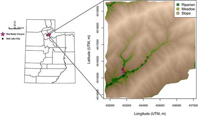 Combining Models of Environment, Behavior, and Physiology to Predict Tissue Hydrogen and Oxygen Isotope Variance Among Individual Terrestrial Animals